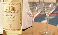 White and Blush Wines/Non-Alcoholic
White and Blush Wines/Non-Alcoholic