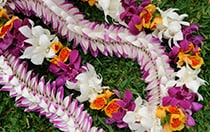 Further Floral Details