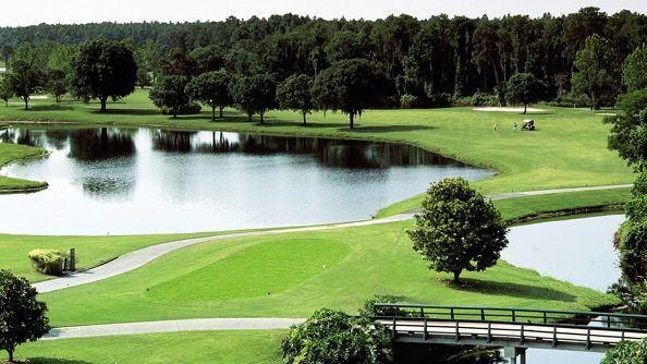 A golf course surrounded by trees