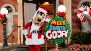 スパークリング クリスマス 香港ディズニーランド スパークリング クリスマス 香港ディズニーランド